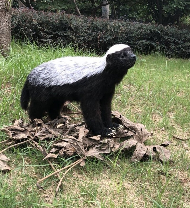 仿生仿真蜜罐