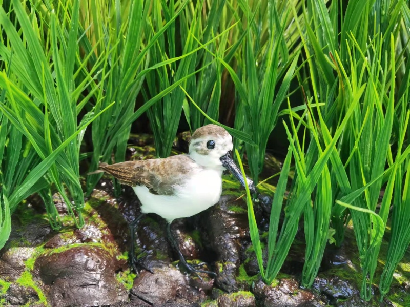 仿真勺鷸